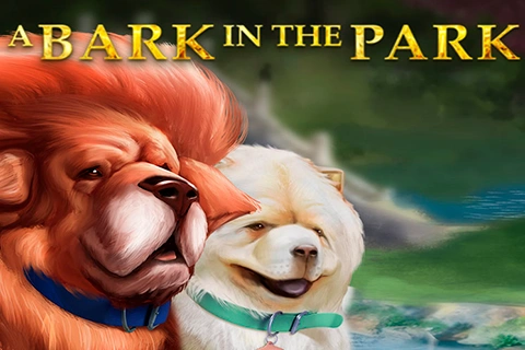 A Bark In The Park Genesis